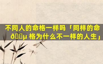 不同人的命格一样吗「同样的命 🌵 格为什么不一样的人生」